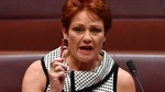 Dog whistles, defections, discontent: One Nation's rise, fall and rebirth