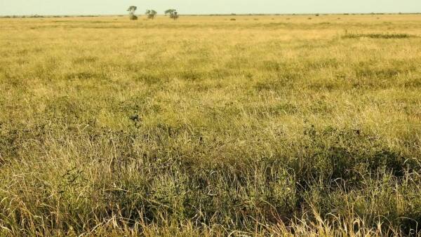 Well positioned breeding, backgrounding, fattening property tops $300/acre