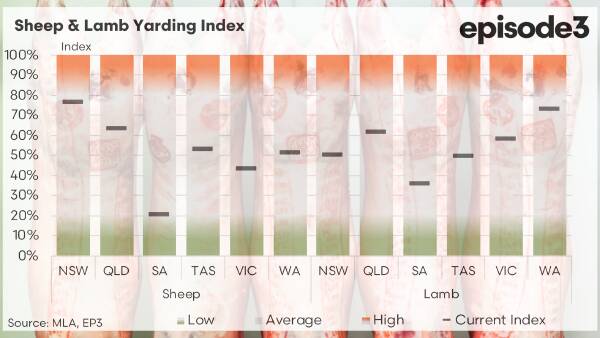 Slow start to the year for lamb supply as yardings shrink in all states