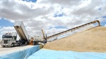 Beyond the glut: GrainCorp's profit woes go deeper than global grain prices