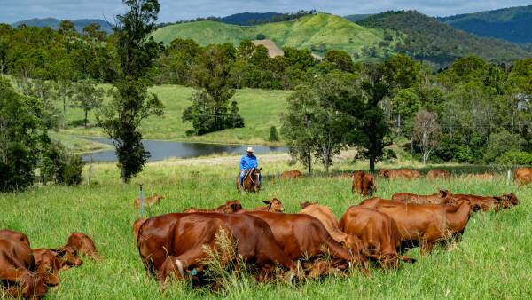Highly productive grazing, cultivation country in a premium area | Video