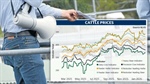 Rain or cattle prices: what really has the most power over a producer's mood