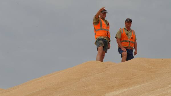 'Farmers want service': can bulk handlers adapt to survive grain's power shift?