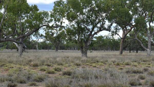 Northam: south west property perfect for to sheep, cattle, goats | Photos