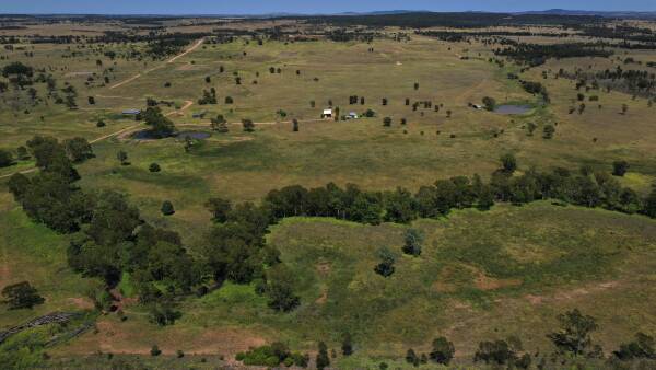 Sold: productive Maranoa buffel grass country in demand at $4606/acre