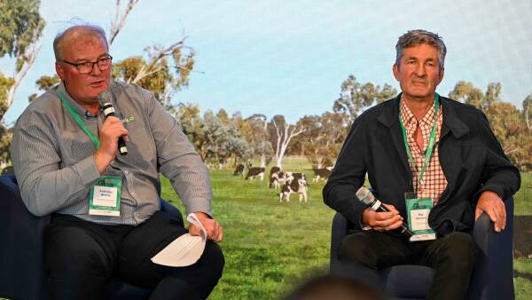 WA farmer leads genetic revolution in national Holstein herd