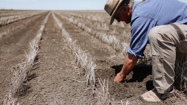 Australia's best: premium Jimbour Plain farming country hits the market