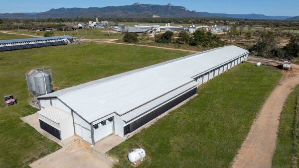 Impressive integrated egg operation expected to crack $35 million | Photos