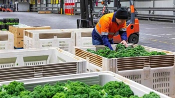 Soaring fuel costs bite into food production, supermarkets asked to help