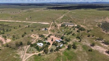 Central Qld's Mon-Abri ideal breeding and backgrounding operation | Video