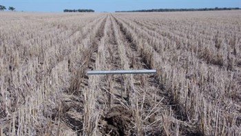Prime north west mixed farming property sold under the hammer