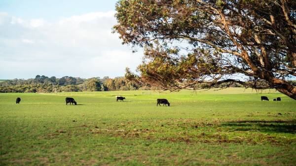 Meningie East property back on market with $6m plus hopes after upgrades