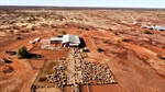 MacLachlan dynasty succession plans prompt carve up of station empire