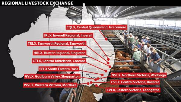 Feedlot buying buzz spreads to investors eyeing 'unique' RLX saleyard group