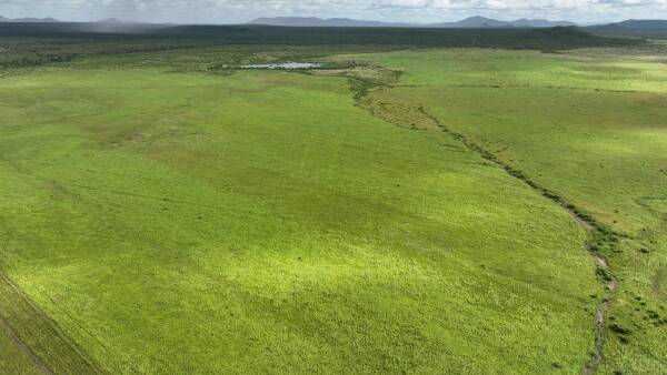 Major cattle property offered walk in, walk out with 2000 breeders | Video