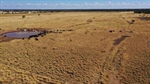 Maranoa cattle country with added bonus of annual income from gas wells