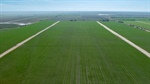 Irrigation, dryland cropping enterprise noted for productivity | Video