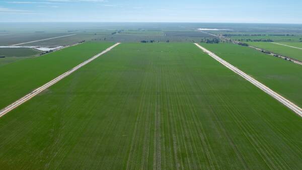 Irrigation, dryland cropping enterprise noted for productivity | Video