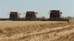 After agriculture's $100b year, farms brace for average 70pc profit plunge