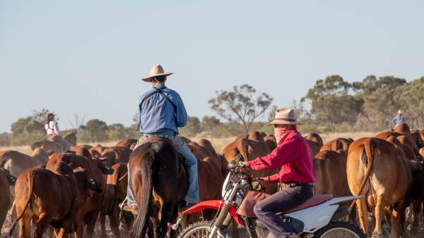 As profits slide and inputs rise, minimum wage hike risks farm wage blowout