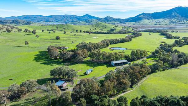 High rainfall pasture country in the tightly held Upper Murray region
