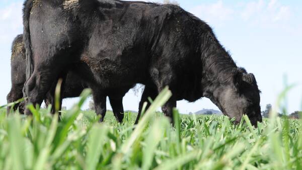 Farms are getting greener, so why aren't your borrowing costs coming down?