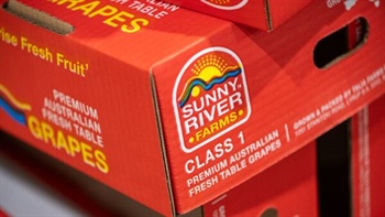 Administrators to sell one of Australia's largest table grape operations