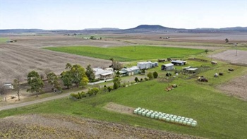 Glencoe a productive 260 acre farm with 84 meg irrigation licence | Video