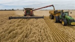 Why even the Middle East conflict has failed to stop a slide in wheat prices