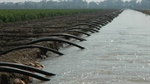 Hanson's water trading ban unrealistic; 'genie' won't go back in the bottle