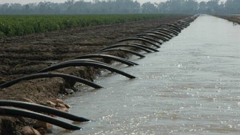 Hanson's water trading ban unrealistic; 'genie' won't go back in the bottle