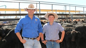 Australian cattle prices hit five-year high as rains spark herd rebuild
