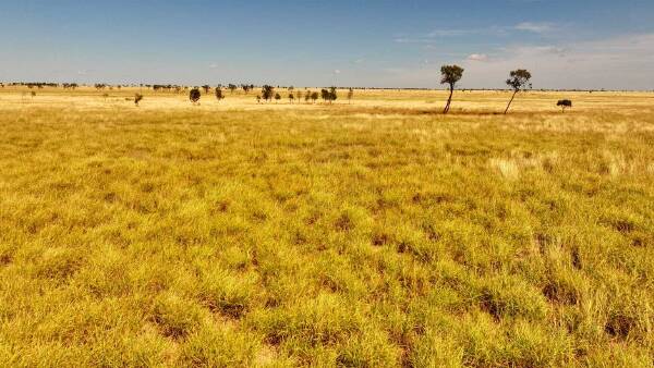 Grassed up grazing country makes $409/acre in strong auction result | Video
