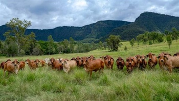 Cloudbreak a remarkable rural holding with breathtaking scenery | Video
