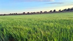 Super, taxes, labour: FY26-27 will deliver cost hike triple-hit for farmers