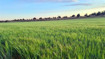 Super, taxes, labour: FY26-27 will deliver cost hike triple-hit for farmers