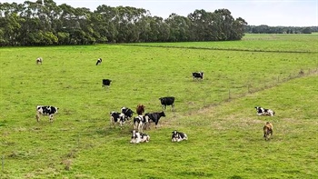 Reliable Western Victorian dairy farm listed for sale at almost $3.3 million