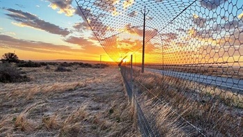Aussie farms could be 'retired' to meet a $250m govt land buyback quota