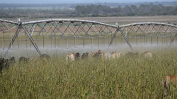 Balanda Park a highly developed, integrated agricultural powerhouse | Video