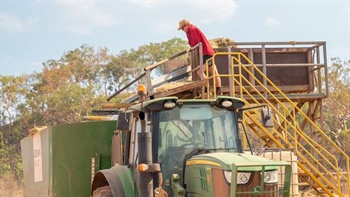 Cloudy with a chance of higher lentil prices: India's dry start tips opportunity