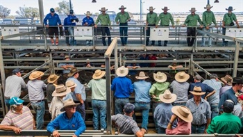 Episode 3: processor margins lift, but remain well below last year's highs