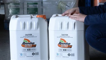 Roundup cancer risk rejected: US Supreme Court hoses down litigation wave