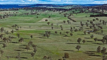 Impressive Gleneagles developed for 1000 cows and followers | Video