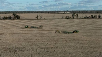 Premier irrigation, dryland cropping, grazing country to auction | Videos