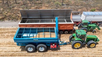 Grain paradox: why traders keep ignoring global supply risk warning signs