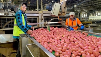 Big Australian potato grower is now fully Canadian owned