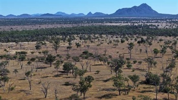 Central Highlands property Carnemore for up to 1000 breeders | Photos