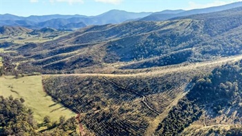 Pioneering High Country carbon farm and ecological refuge up for sale