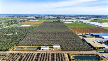 Investors tipped to pounce on five farming blocks just north of Adelaide