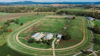 Fenwick Farm a serious Thoroughbred operation with SEQ location | Video